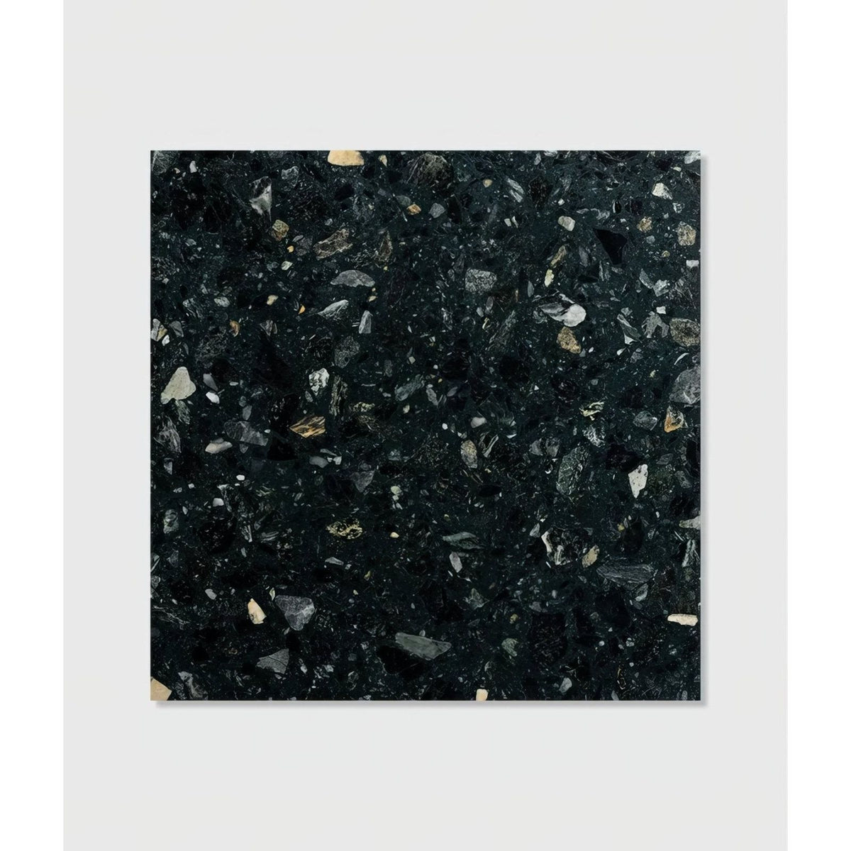 Rialto terrazzo Foscari honed black tile with a speckled pattern of white gray and beige stone fragments
