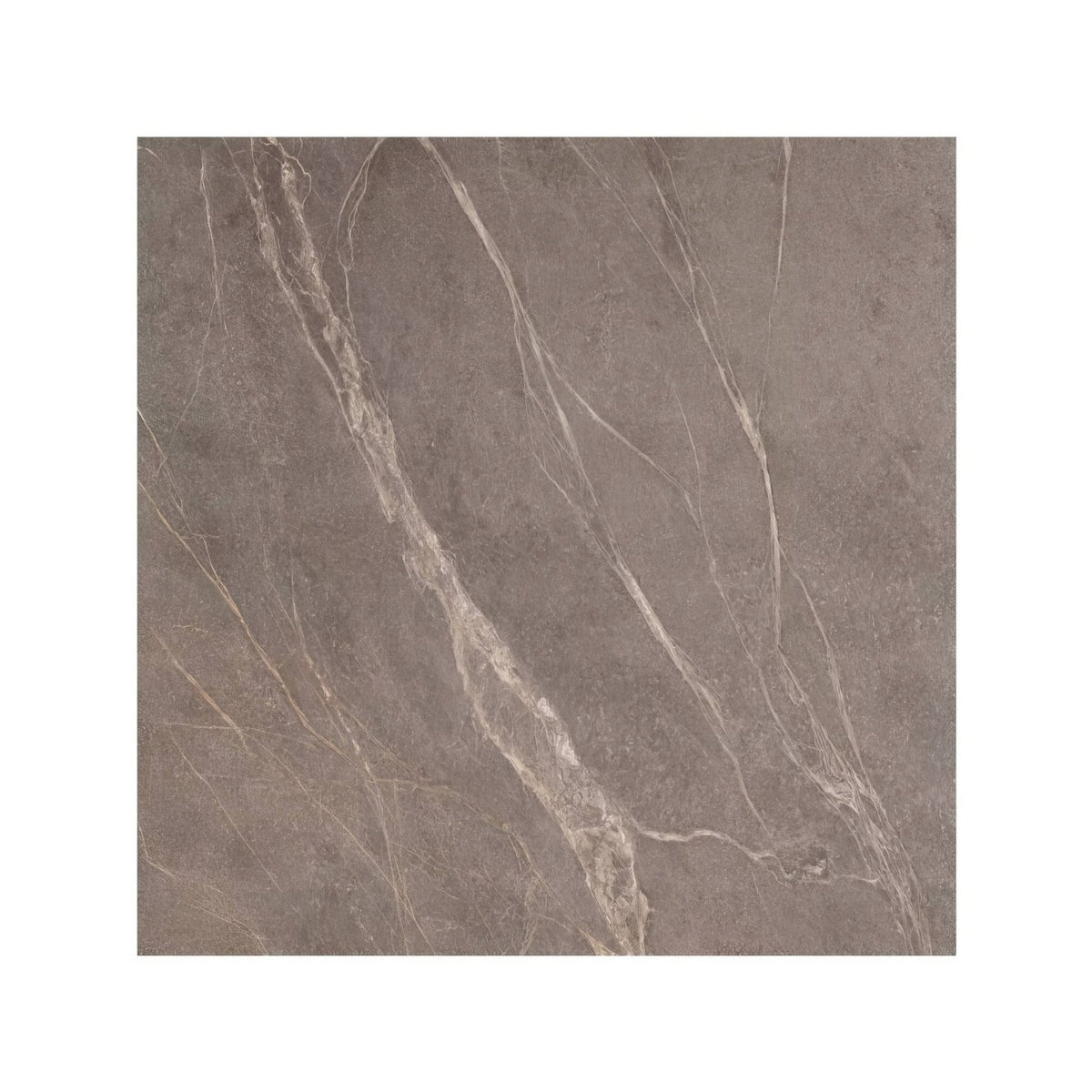 Gray stone tile rimini taupe 60 x 60cm with subtle white veining for versatile indoor and outdoor use