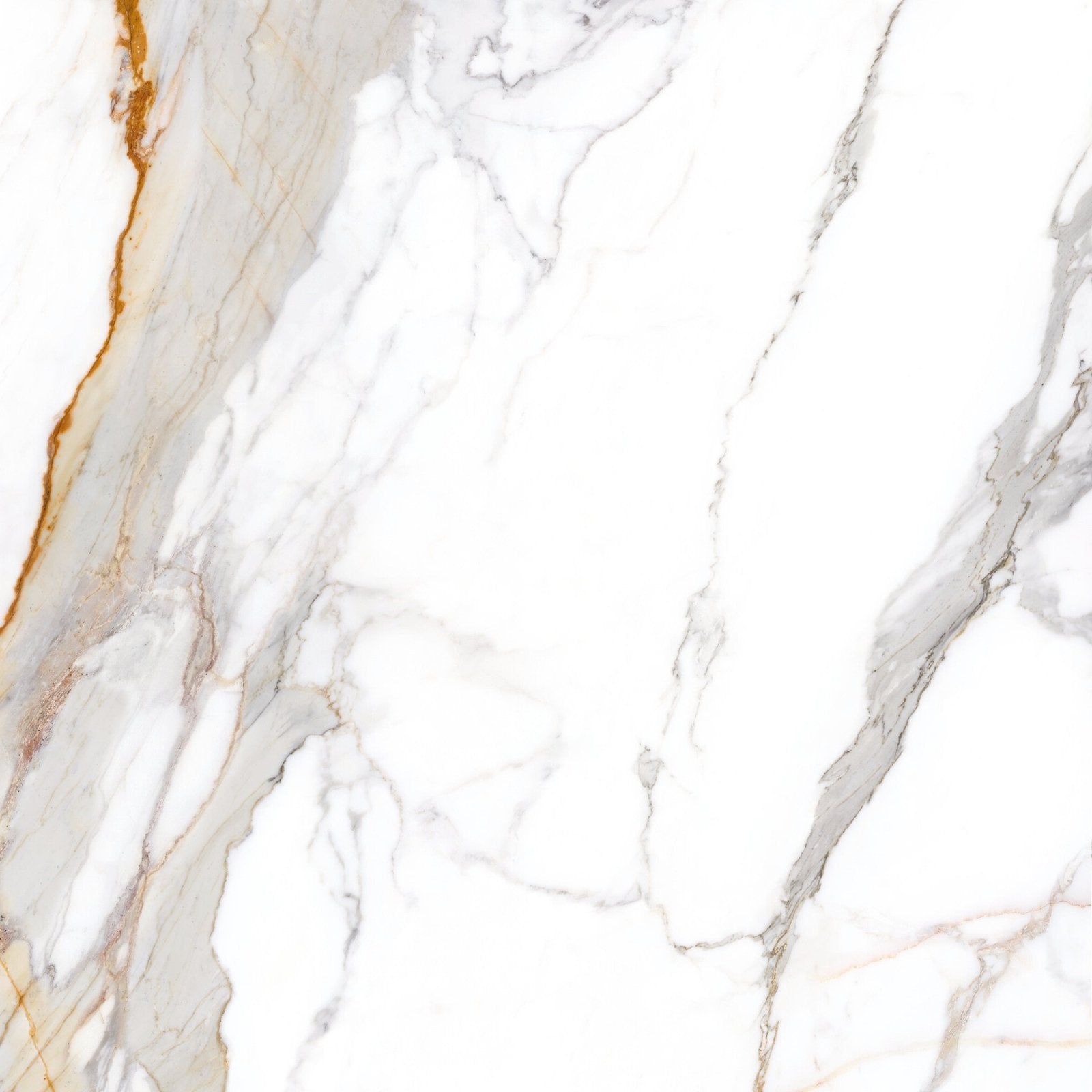 White marble sculpture grande porcelain calacatta maximus surface with elegant gray and warm golden brown veining
