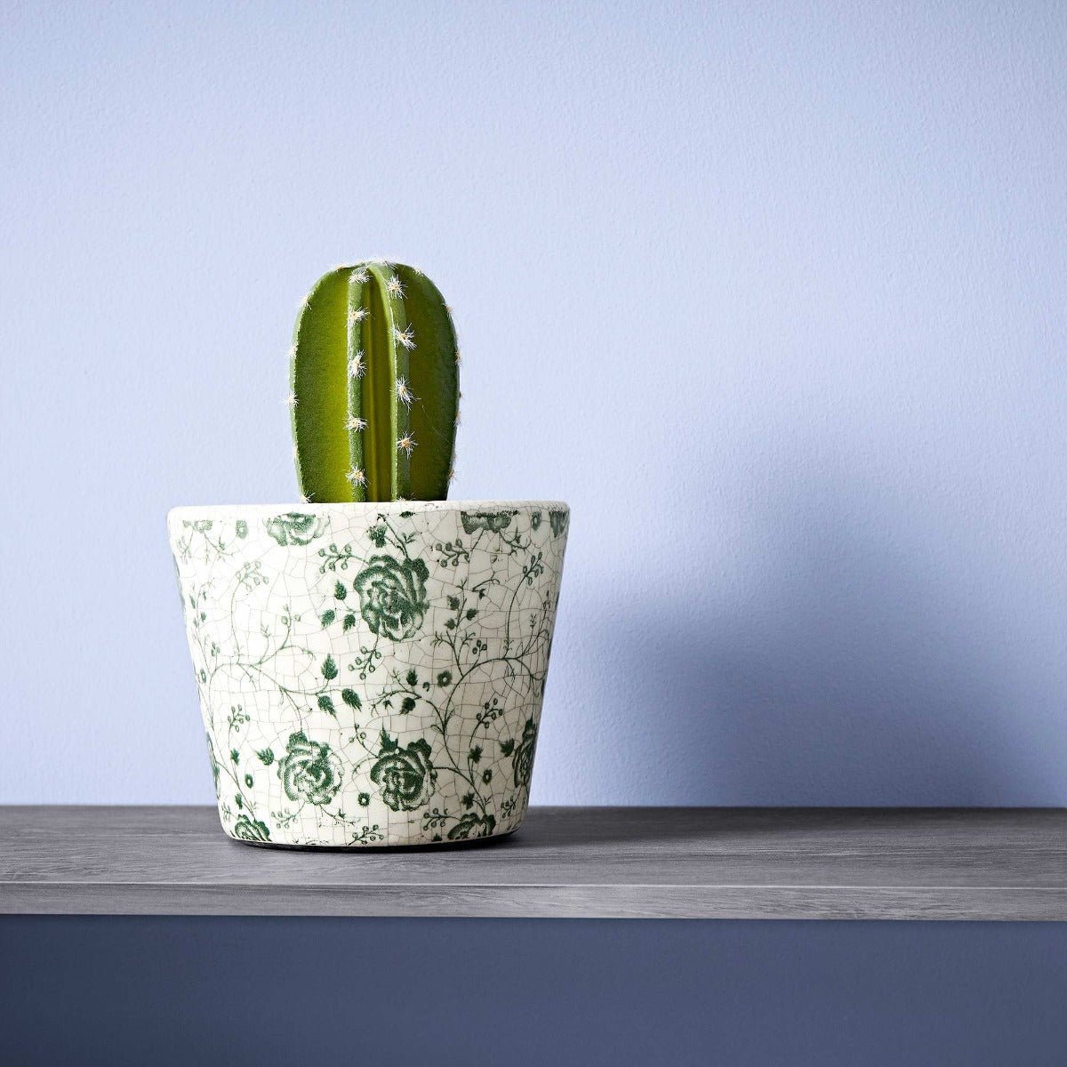 A green cactus with white spines in a cream ceramic pot with dark green floral patterns sea lavender design