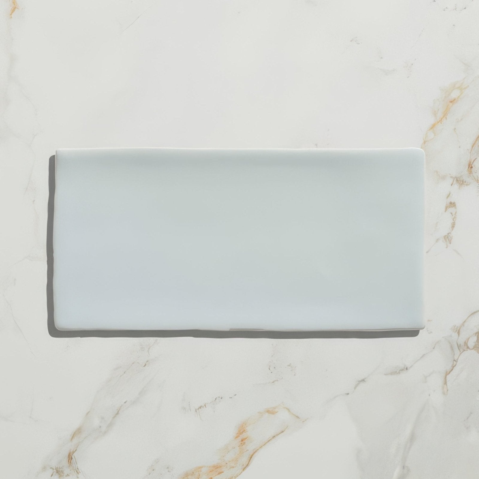 Seaton Ceramic Gulls Egg