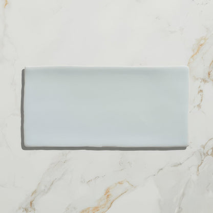 Seaton Ceramic Gulls Egg