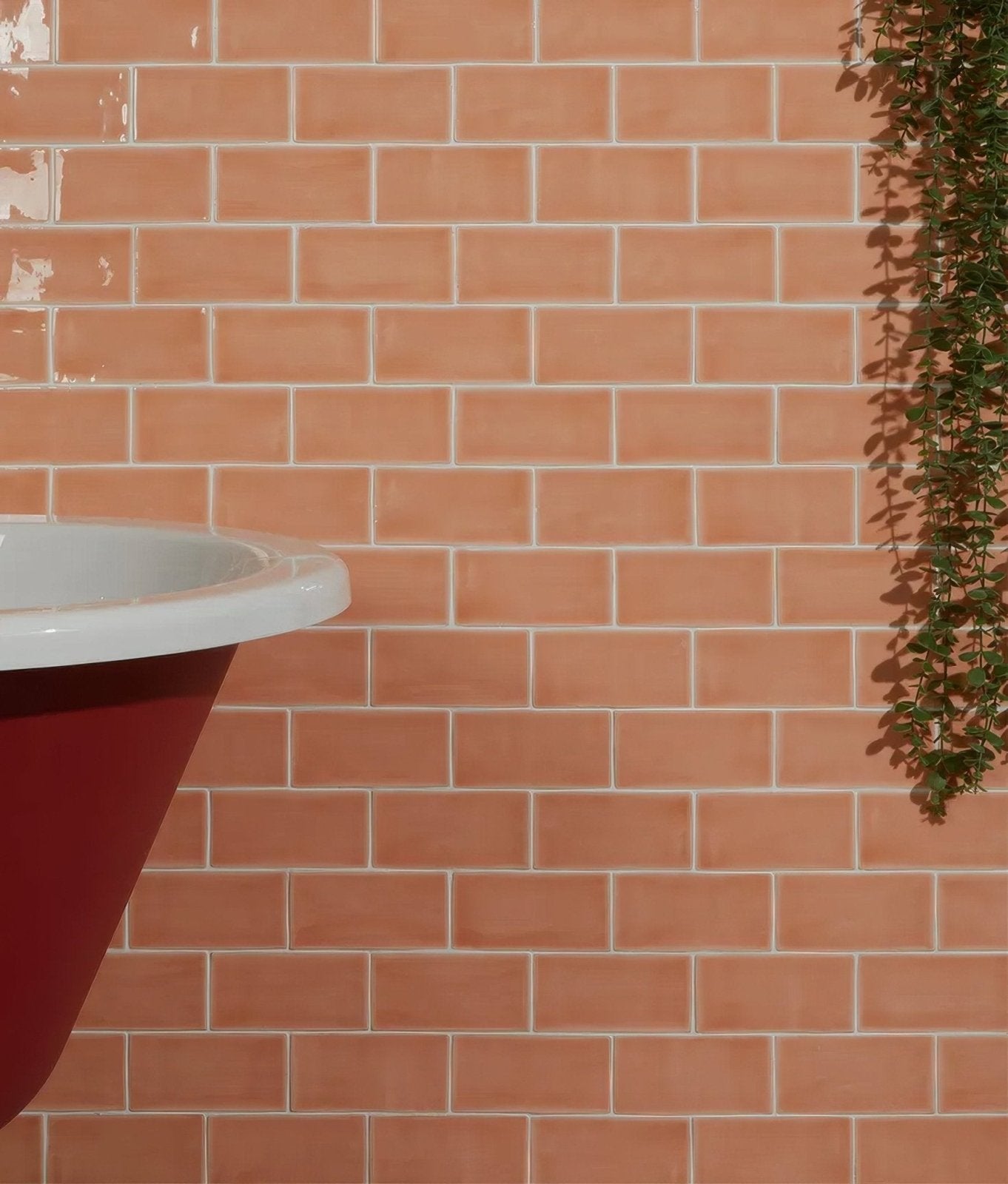 Seaton Ceramic Shrimp