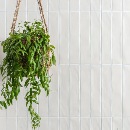 Sherbet White Brick 5x25cm