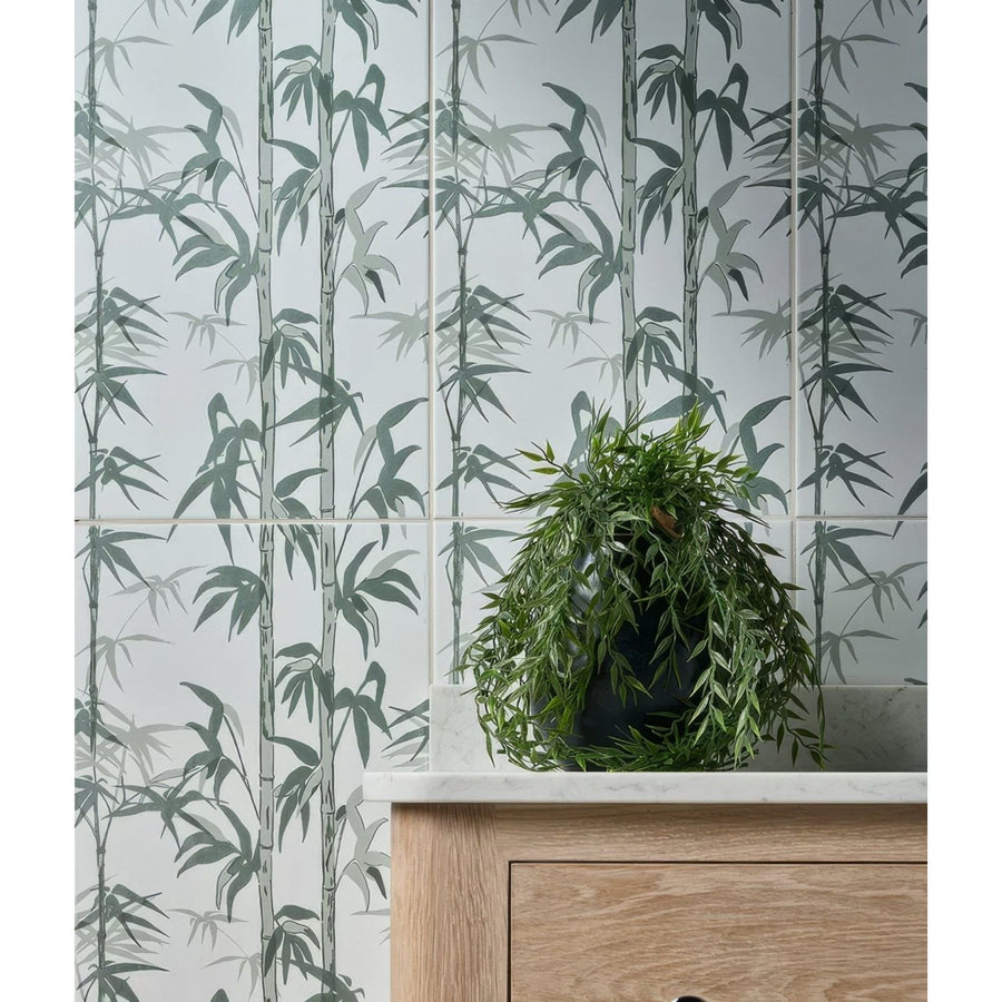 A lush silk screen ceramic lantau bamboo smoke green plant in a sleek black pot on a light wood cabinet