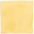 Soft yellow field tile square slice of pale yellow cheese with smooth glossy surface and natural indentations