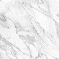 Statuarietto honed 60x60cm white marble surface with elegant gray veining for flooring and wall use