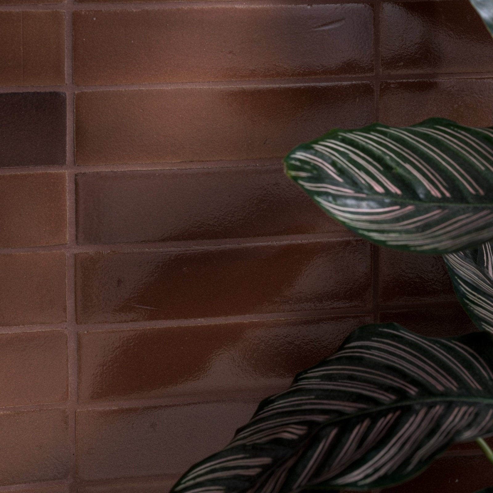 Dark brown glossy rectangular stone glaze ceramic cola gloss brick tiles arranged in a brick-like wall pattern