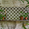 Terracotta plant pots with green foliage on a rustic wooden shelf against dark green and white geometric tiles by studio cassius brown ceramic