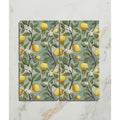 Set of four Studio Nonna ceramic coasters with vibrant lemon tree design on soft blue background for kitchen use