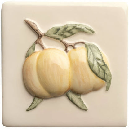 Summer Fruits Apricot Handpainted Tile