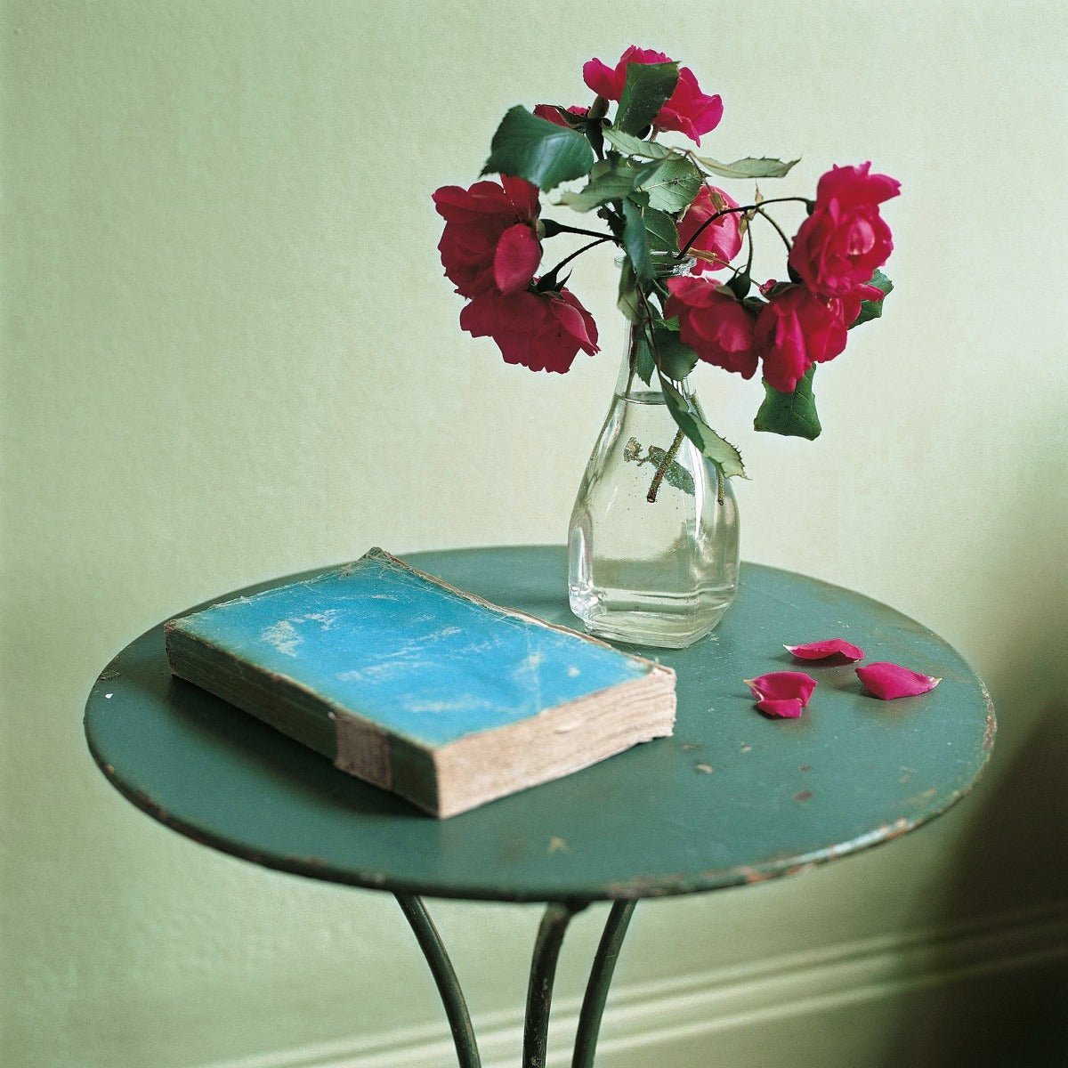 A clear glass vase holding vibrant red roses with green leaves in the sweet cicely collection