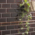 Teapot brown metro bevelled tile featuring dark brown glossy subway tiles with white grout and decorative wooden trim