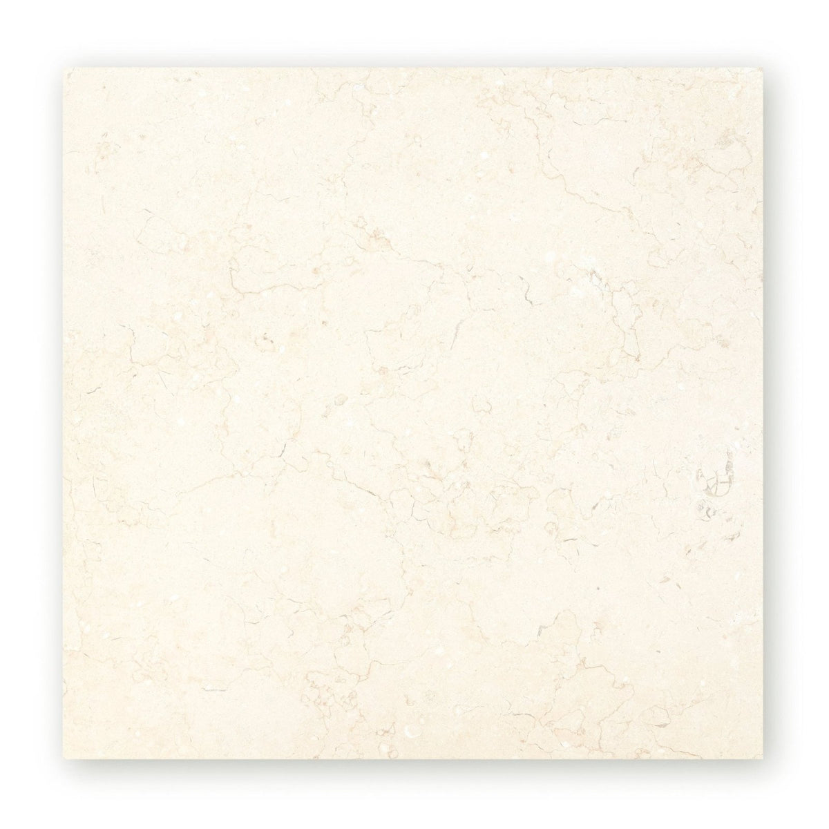 Cream-colored marble tile temple ezra 60 x 60cm diamond sawn honed with subtle veining for elegant flooring and walls