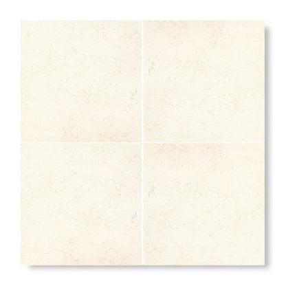 Temple Ezra 60 x 60cm Diamond Sawn Honed