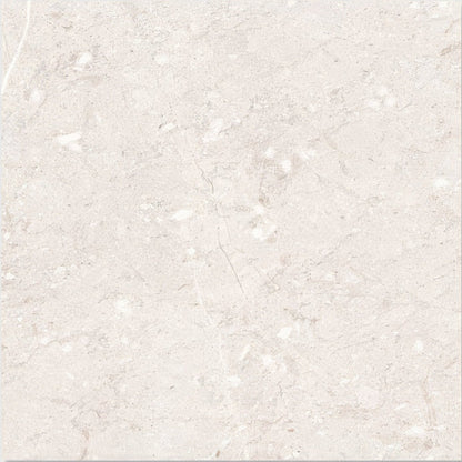 Tisbury Porcelain 80 x 80cm