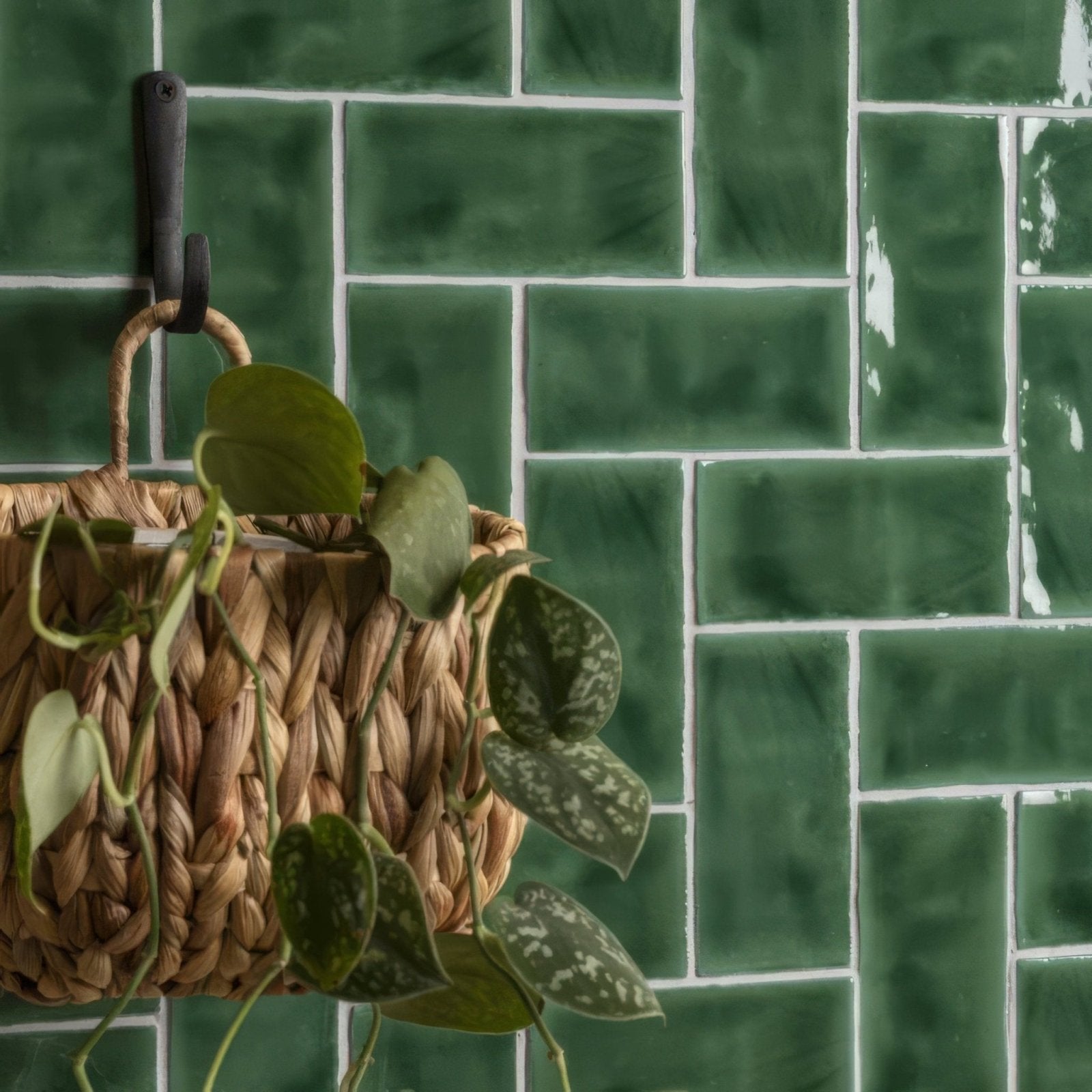 A woven natural fiber hanging basket with handle holding green and variegated leaves for tourmaline half tile wall tiles