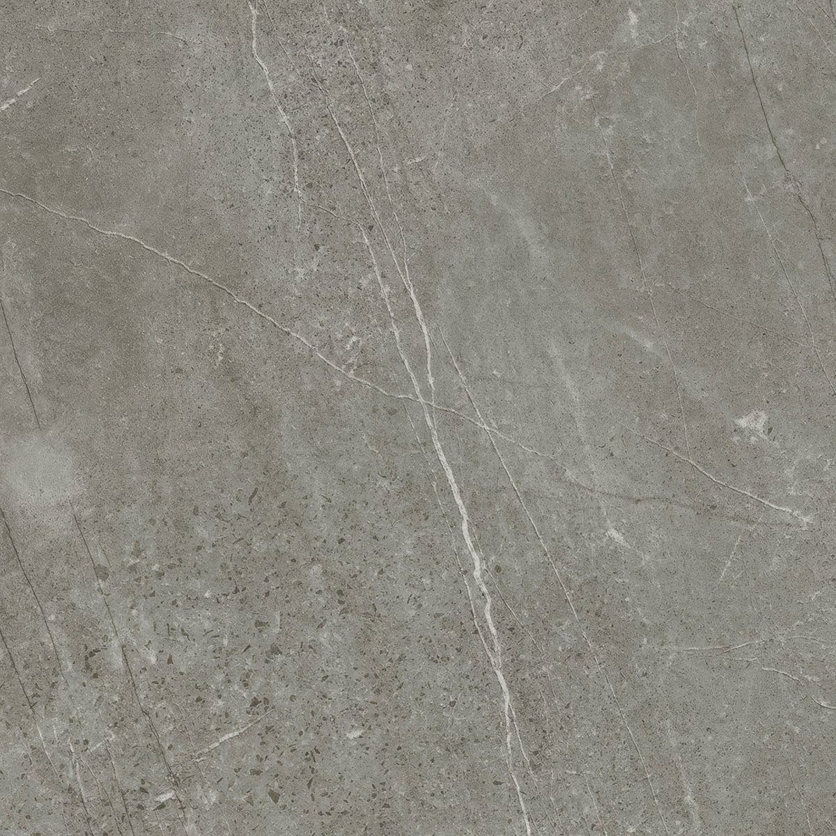 Trevi 1817 grey matt stone tile with gray color, subtle white veining, and speckled texture for flooring or walls