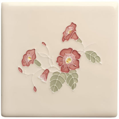 Tubelined Floral Collection Sea Bindweed