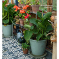 A large matte sage green ceramic pot with embossed leaf design holding broad-leafed plants in urban velasco patterned porcelain tile setting