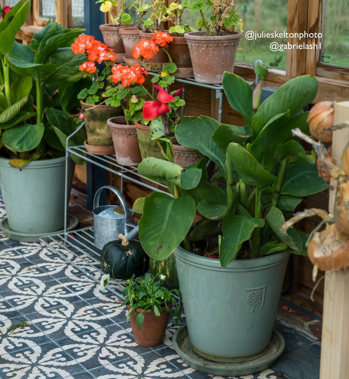 Urban Velasco Patterned Porcelain Tile