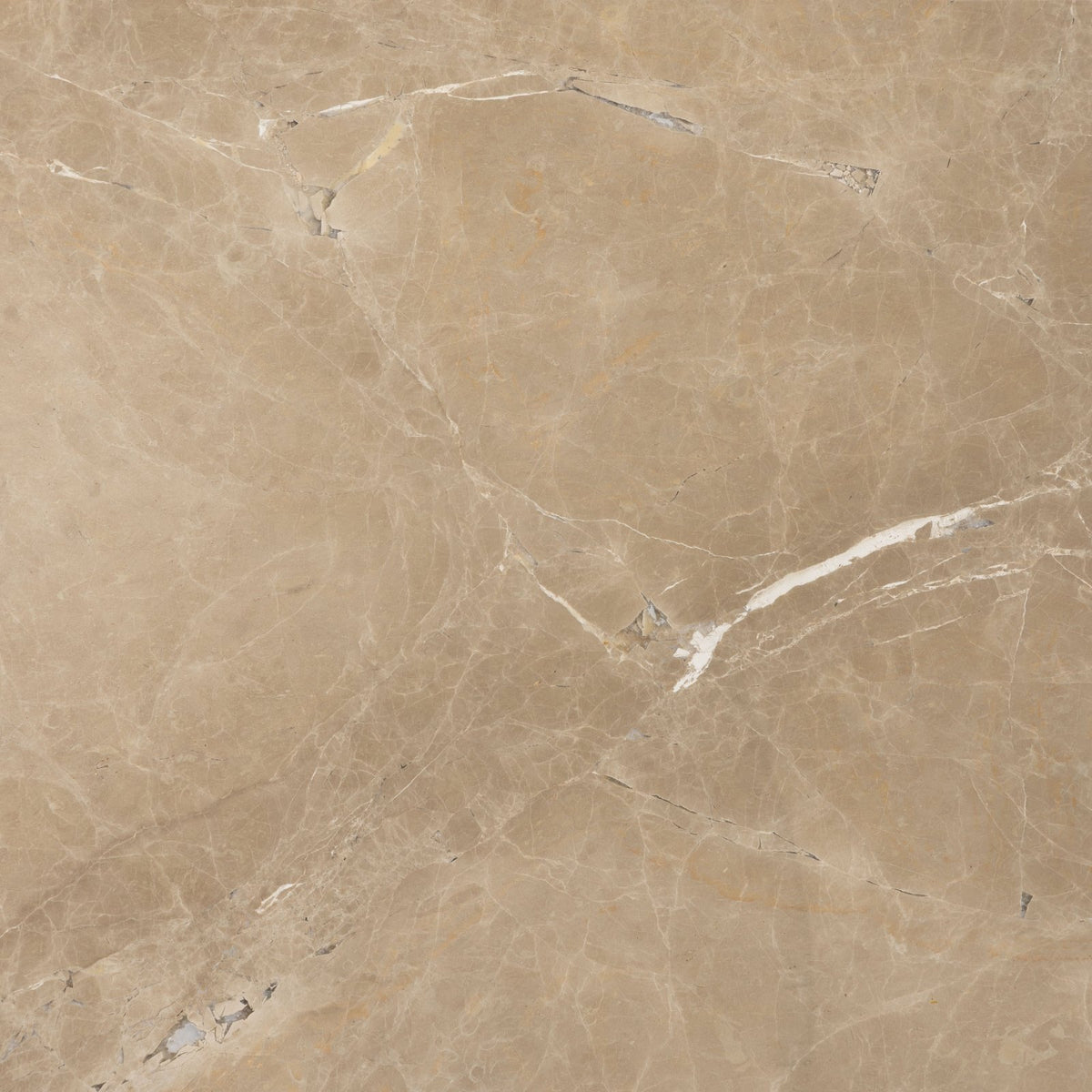 Versailles marble brun honed beige marble tile with subtle veining and polished smooth surface for flooring and walls