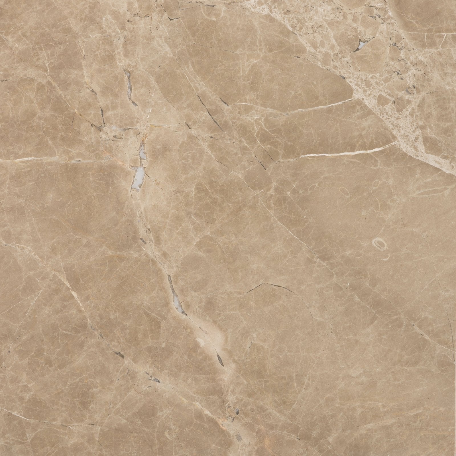 Versailles marble brun honed beige marble tile with subtle veining and polished smooth surface for flooring use