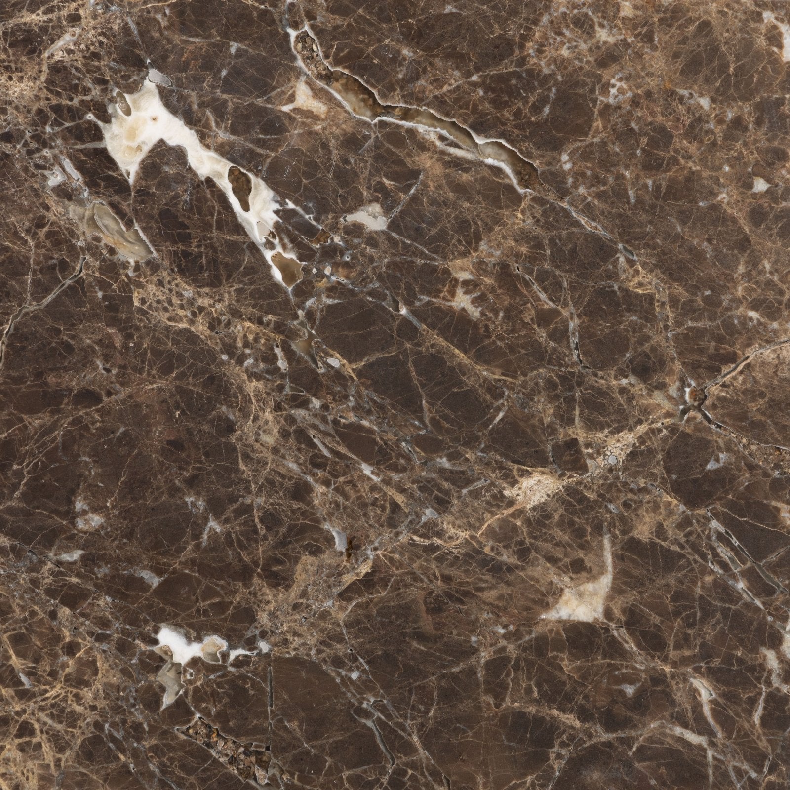 Dark brown versailles marble marron honed surface with intricate white and beige veining patterns