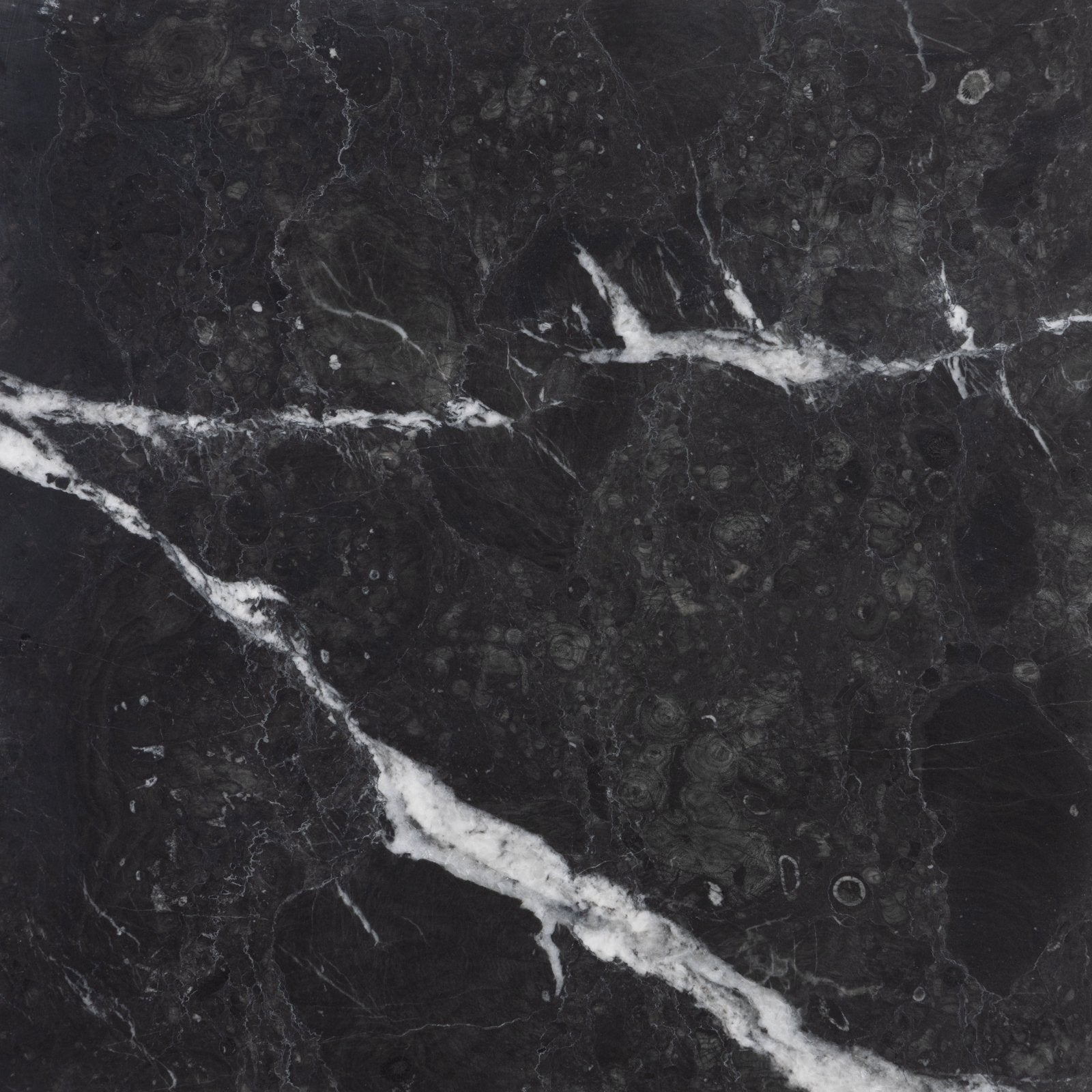 Versailles marble noir honed black marble slab with striking white veining and subtle greenish undertones