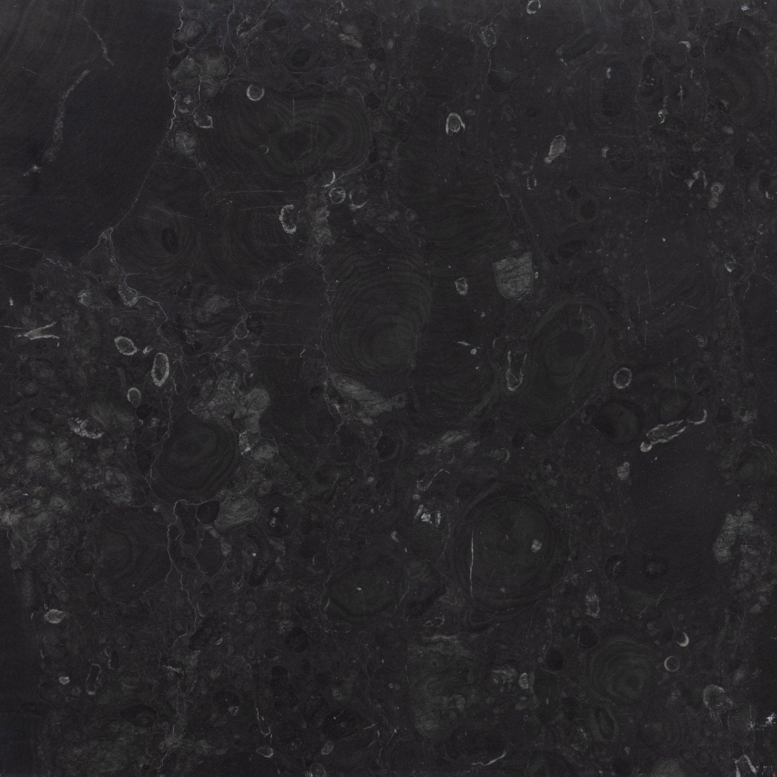 Versailles marble noir honed slab in dark gray marble with subtle veining and natural stone texture
