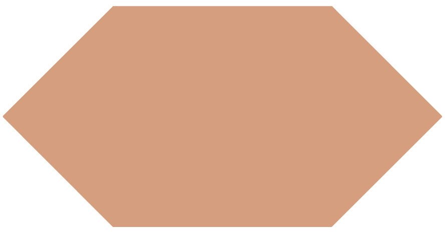 Victorian Floor Tile Hexagon Colours 151 x 75mm