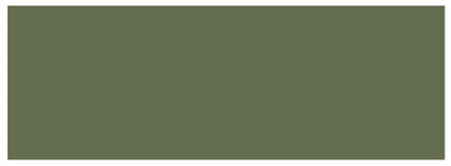 Victorian Floor Tile Rectangle Colours 151 x 53mm