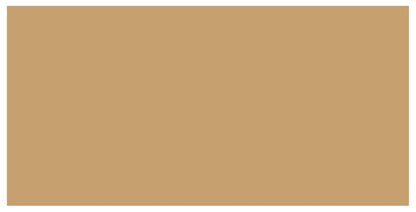 Victorian Floor Tile Rectangle Colours 151 x 75mm