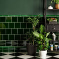 A lush green leafy plant in a sleek white ceramic pot showcasing victorian green hogarth moulding design