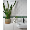 Victorian Style Olive Green Simple Beading - styled on a wall in a room setting