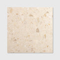 Beige rialto terrazzo san michele honed tile with speckled light and dark stone fragments surface