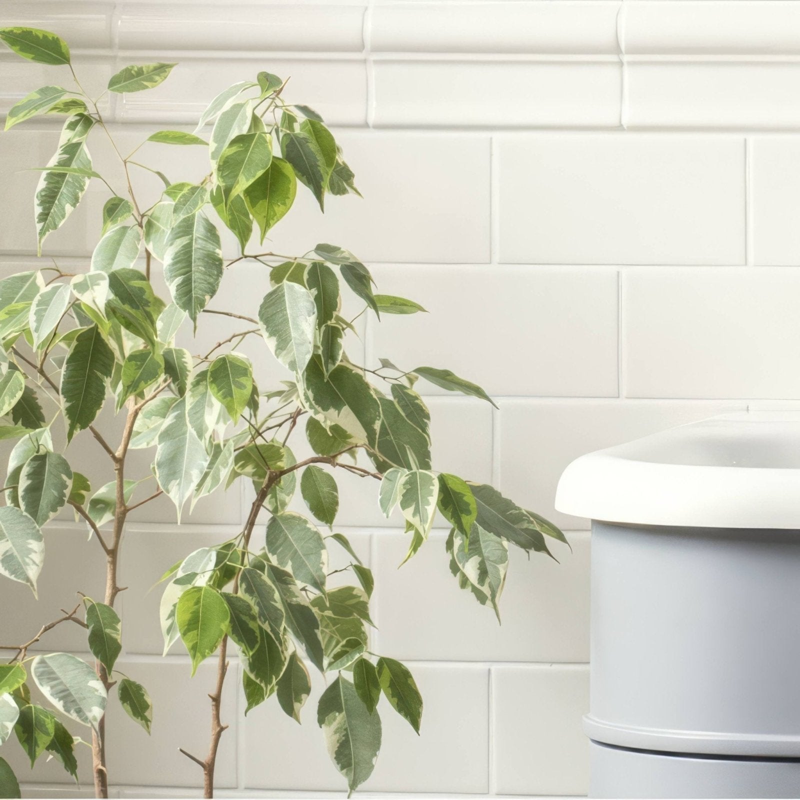 Vintage White Victoria Moulding