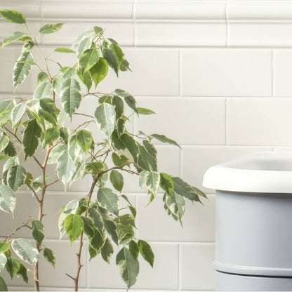 Vintage White Victoria Moulding