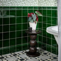 A potted plant with red and silver veined leaves in a distressed white ceramic pot on victorian style wall ceramic olive green skirting crackle glaze