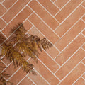 Dry brown fern fronds rest diagonally on a herringbone-patterned wansdyke external terracotta tile floor