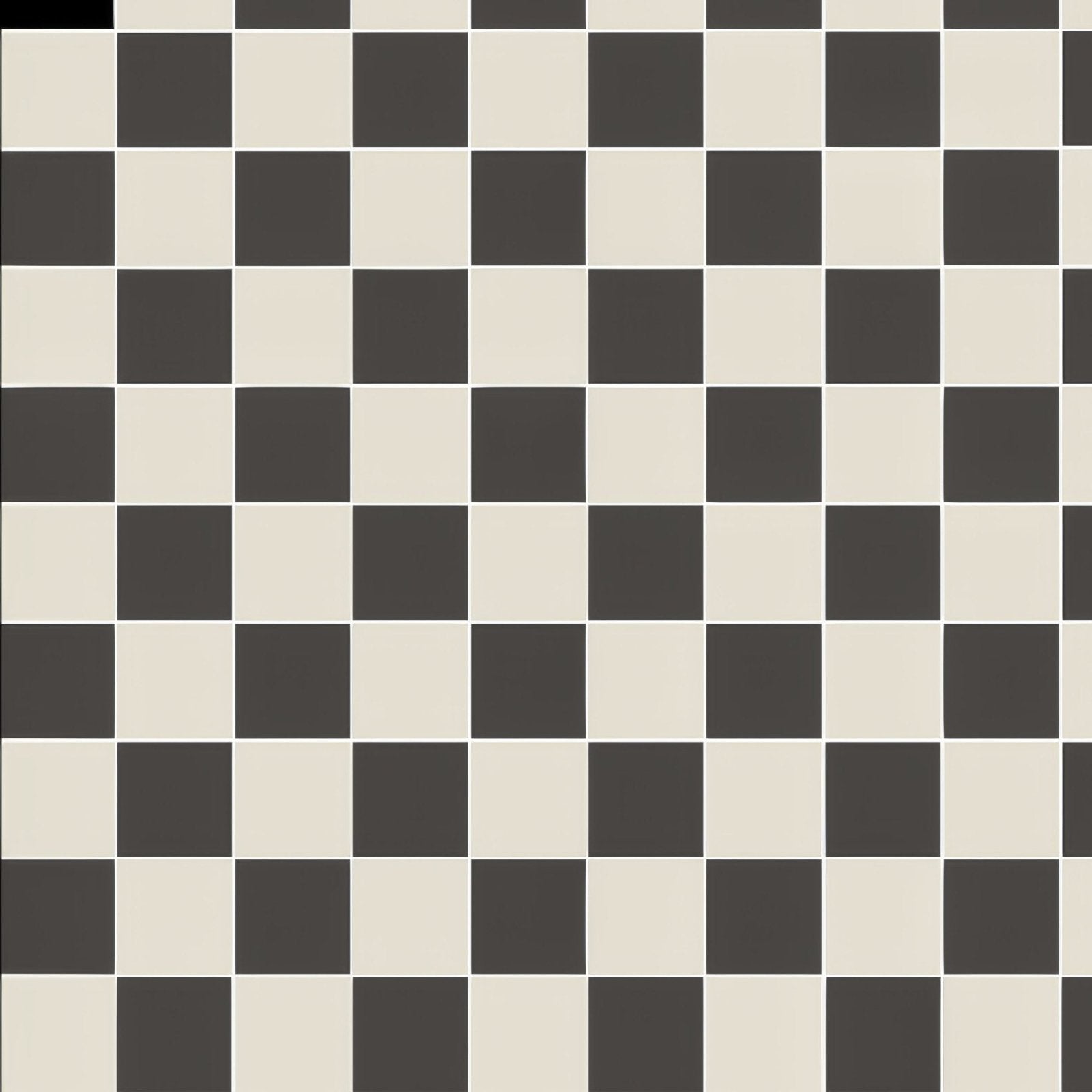 Wellington Black and Dover White shown as flooring