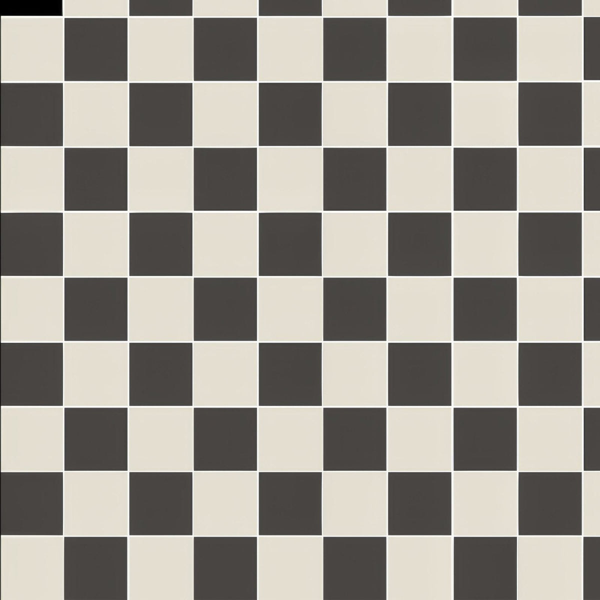 Wellington Black and Dover White shown as flooring