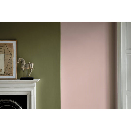 Fired Earth Wild Olive Paint - alternate view