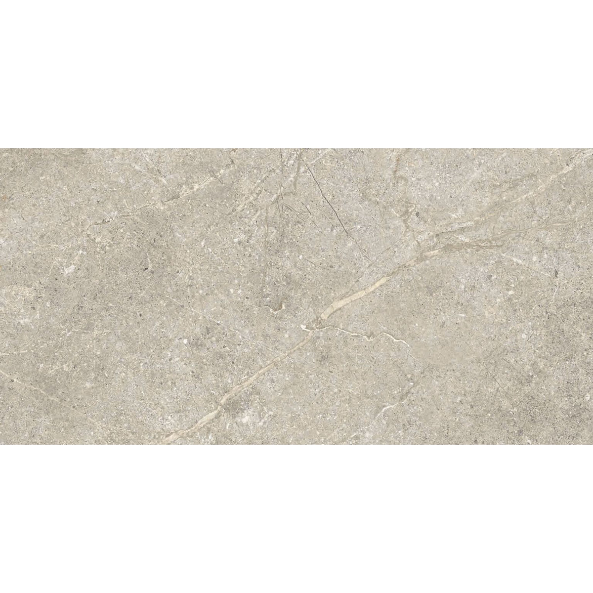 Gray stone tile wonder dune matt 30 x 60cm with subtle veining and a matte finish for elegant flooring