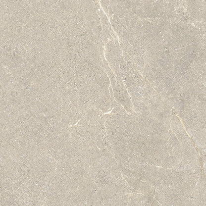 Wonder Dune Matt 60 x 60cm