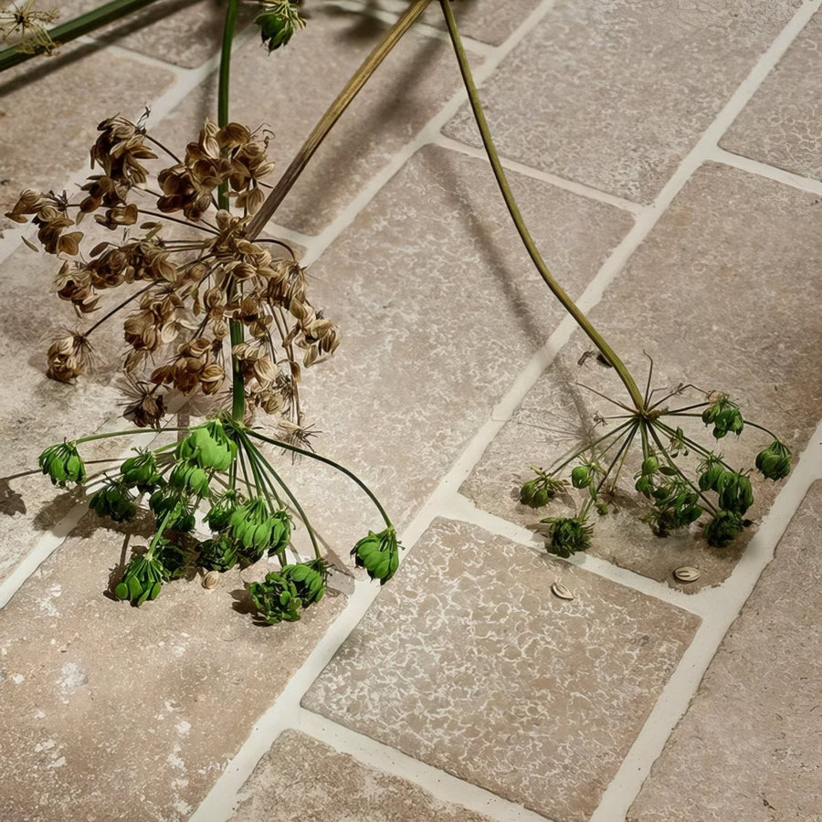Dried and green seed heads resting on a wychwood limestone tumbled and etched cobble tiled floor