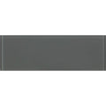 A sleek rectangular gray avon clear glass tile 300 x 100mm with a smooth glossy finish