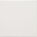 A smooth glossy white ceramic daisy satin field tile with subtle sheen and faint surface imperfections