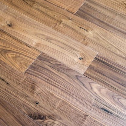 DC205 American Black Walnut