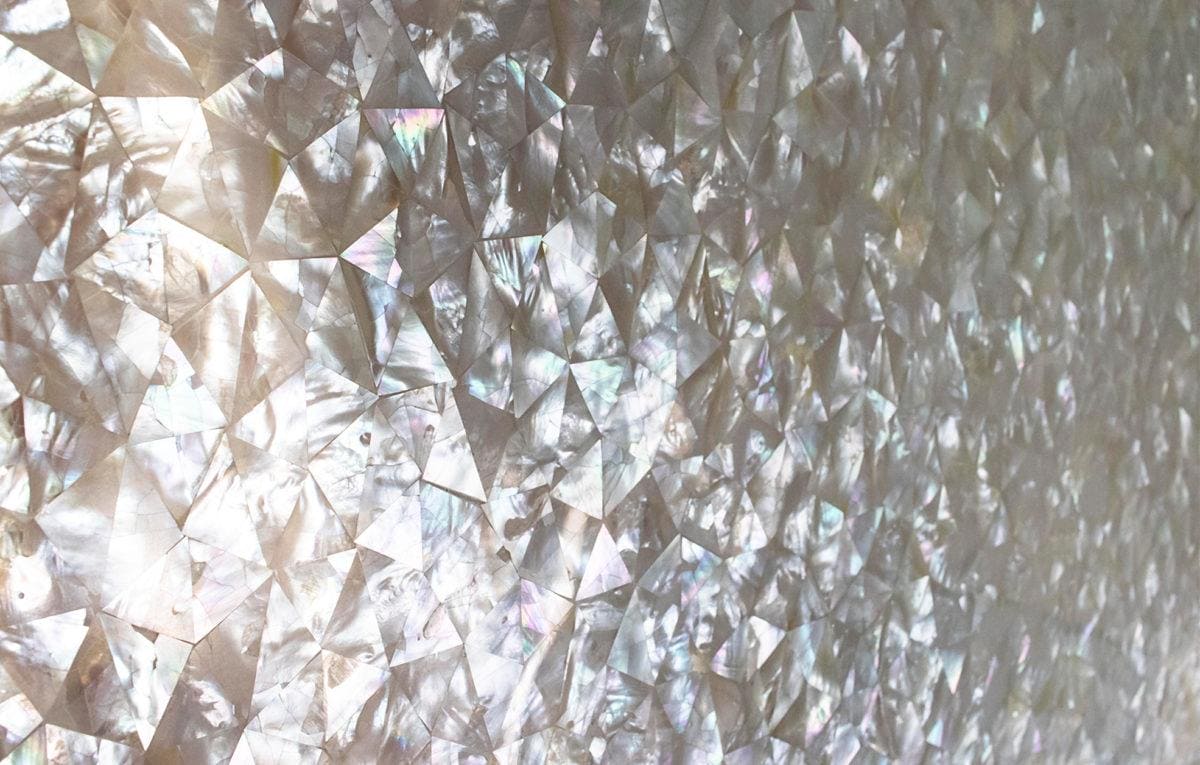 Feature Panel Crackle